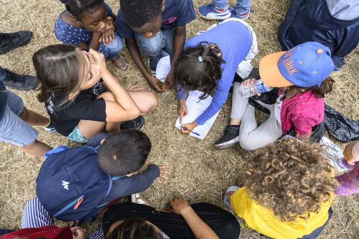 ATELIER / Aborder la diversité alimentaire par le jeu et par des dégustation à l'aveugle. Cet atelier permet également de découvrir des familles moins connues comme les légumineuses (1h)