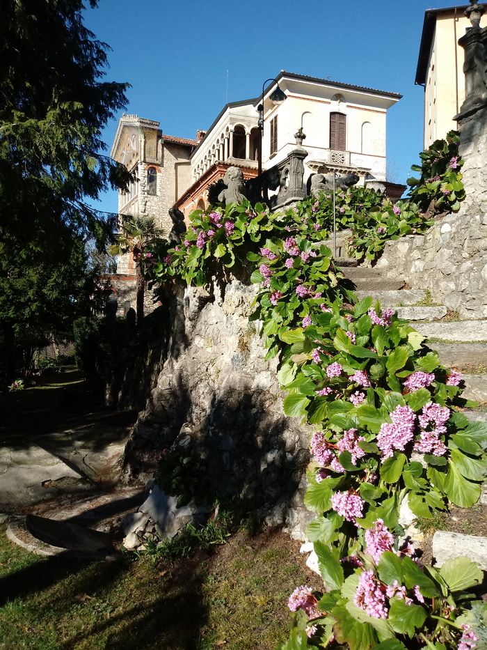 LOOKING FOR PLANTS AND FLOWERS AT HOME POGLIAGHI