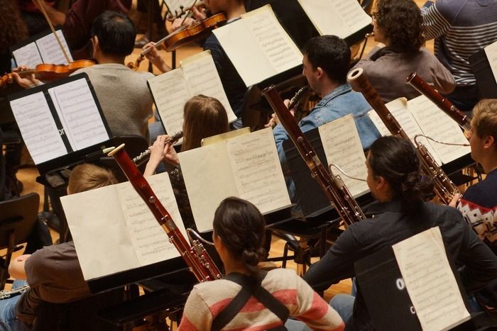 La Septième Symphonie et l'Ouverture d’Egmont de Beethoven seront présentées par les musiciens professeurs du Conservatoire de Roubaix.