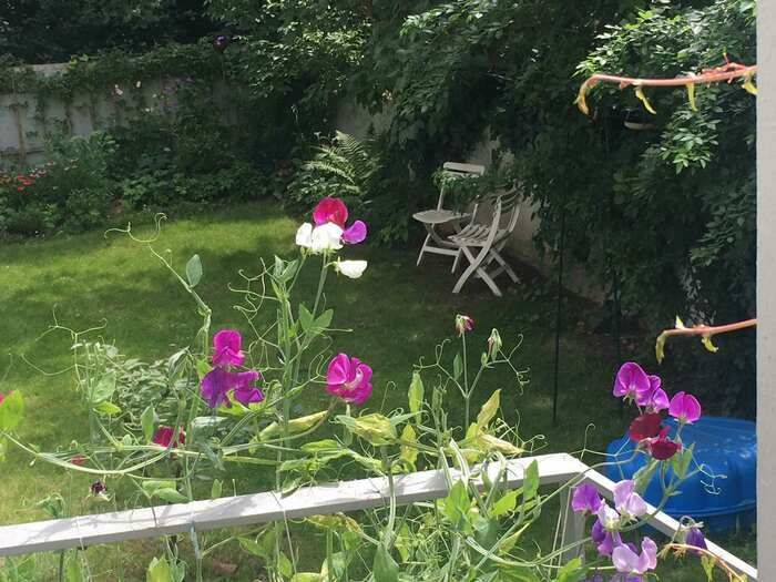 Besuchen Sie diesen unkomplizierten Stadtgarten mit einer Vielfalt hauptsächlich heimischer Pflanzen und Tiere.