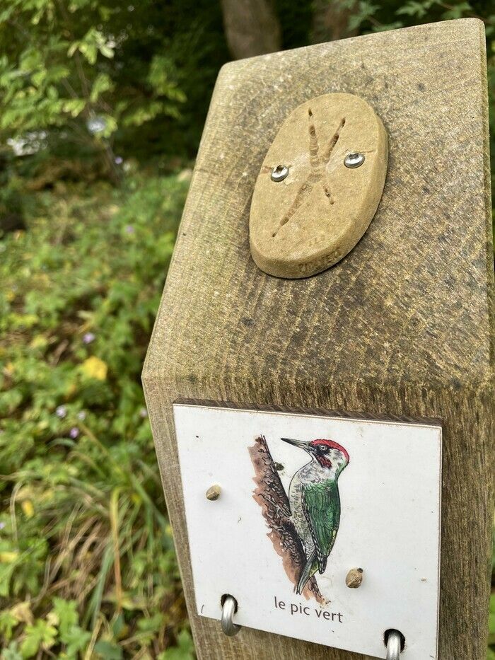 Qui est passé par là ? Qui y a pris son repas ? Enquêtons dans les bois !