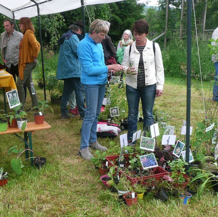 Irene Schnabel ist unter anderem Gartenexpertin und teilt die Pflanzen in ihrem Garten wie auch ihre verschiedenen Aktionspläne vorbehaltlos. Seine Energie ist anregend, sein Optimismus kommunikativ u