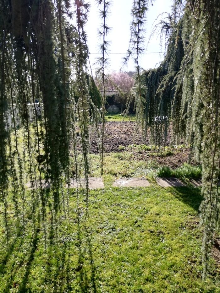 Anlässlich der «Rendez-vous aux jardins 2024» laden wir Sie ein, Momente des Austauschs rund um einen chablisianischen Garten zu teilen.