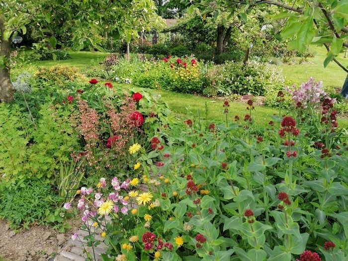 Präsenz des Regionalverbandes der Parks und Gärten der Hauts de France. Präsidentin Odile Hennebert gibt Ihnen Tipps, Tricks und Tricks, um die Natur zu respektieren.