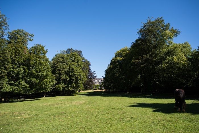 À l'occasion des « Rendez-vous aux jardins 2024 », partez à la découverte du parc à l’anglaise, de son bois de buis aux chênes bicentenaires et sa cour des orangers.