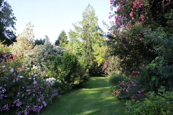 Führung durch den Park "Reflexionen des Gartens". Es ist ein Garten von 5000m2, der aus 2000 verschiedenen Pflanzen aus fünf Kontinenten besteht. Ein Vergnügen für Spaziergänger, Pflanzenliebhaber ode