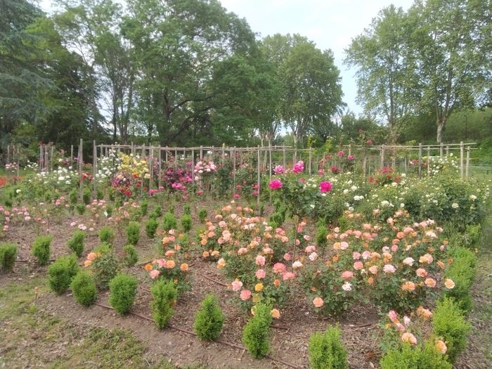 Nutzen Sie die Veranstaltung «Rendez-vous aux jardins! », um den Blumenpark auf einer kommentierten Tour zu entdecken!