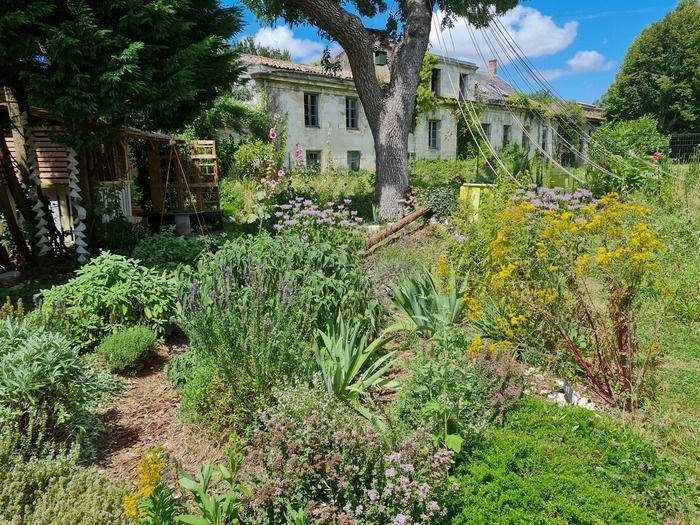 Workshop «Die 5 Sinne im Garten» unter der Leitung des Vereins La Boussole, der den Garten von Utopien der Alten Schule für Schiffsmedizin pflegt und aufwertet.