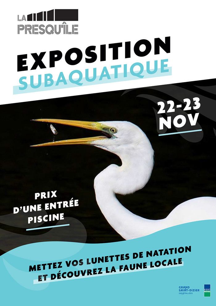 Découvrez la faune locale dans une expérience unique et immersive à la piscine de La Presqu'île, en enfilant vos lunettes de natation.