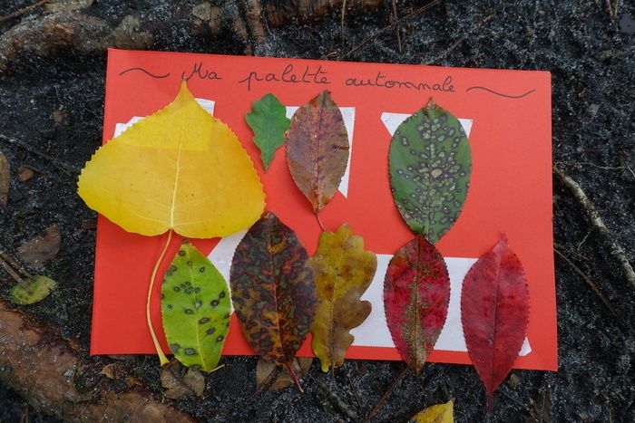 Le temps d'une balade, laissez-vous guider au contact de la nature. Au cours de votre cheminement dans le bois du Taillan, notre animateur nature vous propose une balade ludique et sensorielle.