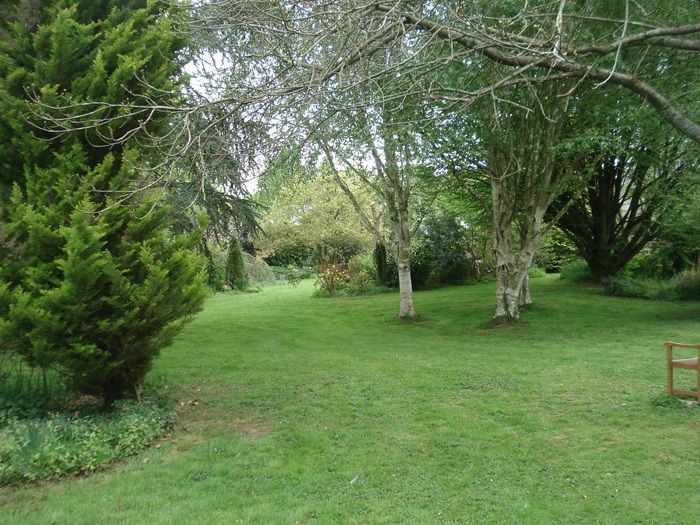 Führung durch einen angelegten Garten auf 21.500 m2, Rhodo, Magnolien, Hydrangerrosen mit vielen blühenden Stauden.