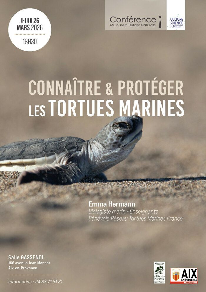 Le Muséum d'Aix-en-Provence vous invite à une conférence "Connaître et protéger les tortues marines" par Emma Hermann, Biologiste marin, Enseignante, Bénévole Réseau Tortues Marines France