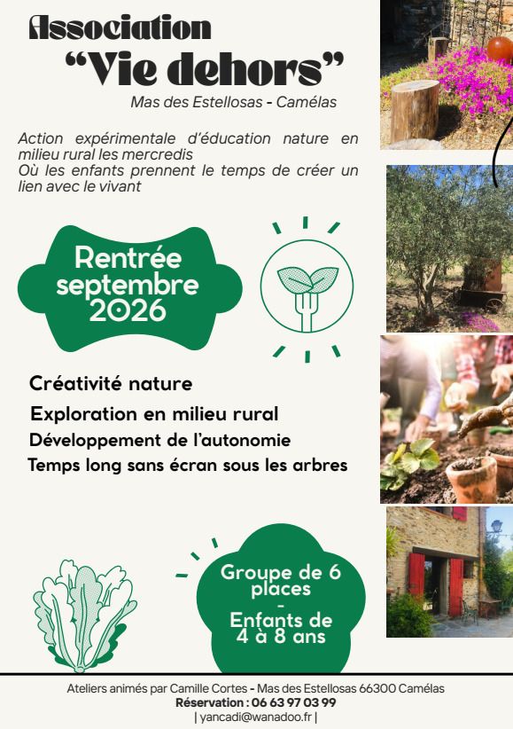Activité nature - Créativité loin des écrans