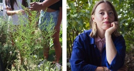 Avec Ophélie Damblé,

Et si les plantes les plus discrètes étaient aussi les plus fascinantes ?