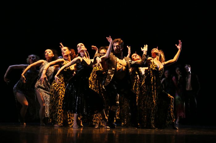 danse - ballet