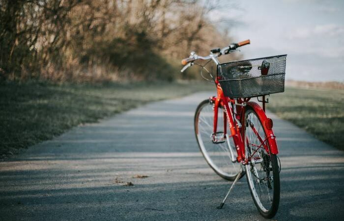 Venez faire une promenade à vélo pour découvrir le plateau de Saclay !