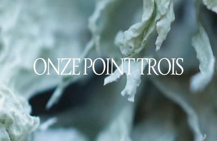 Exposition Onze Point Trois