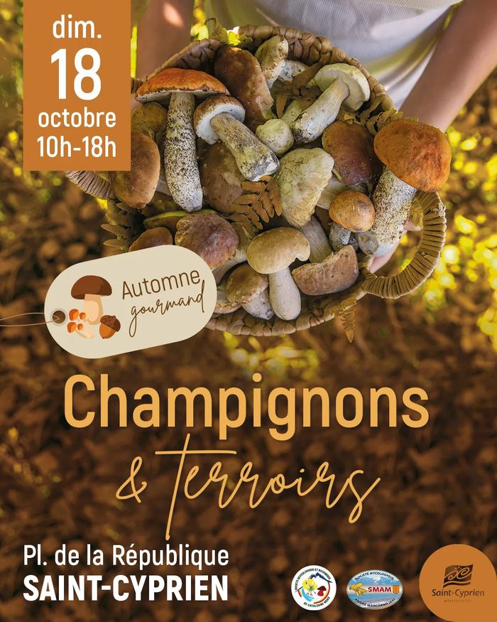 Champignons & Terroirs - Automne gourmand