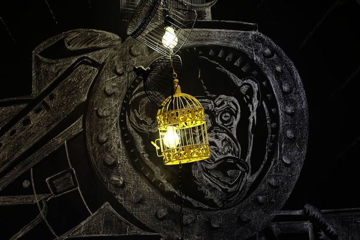Exposition