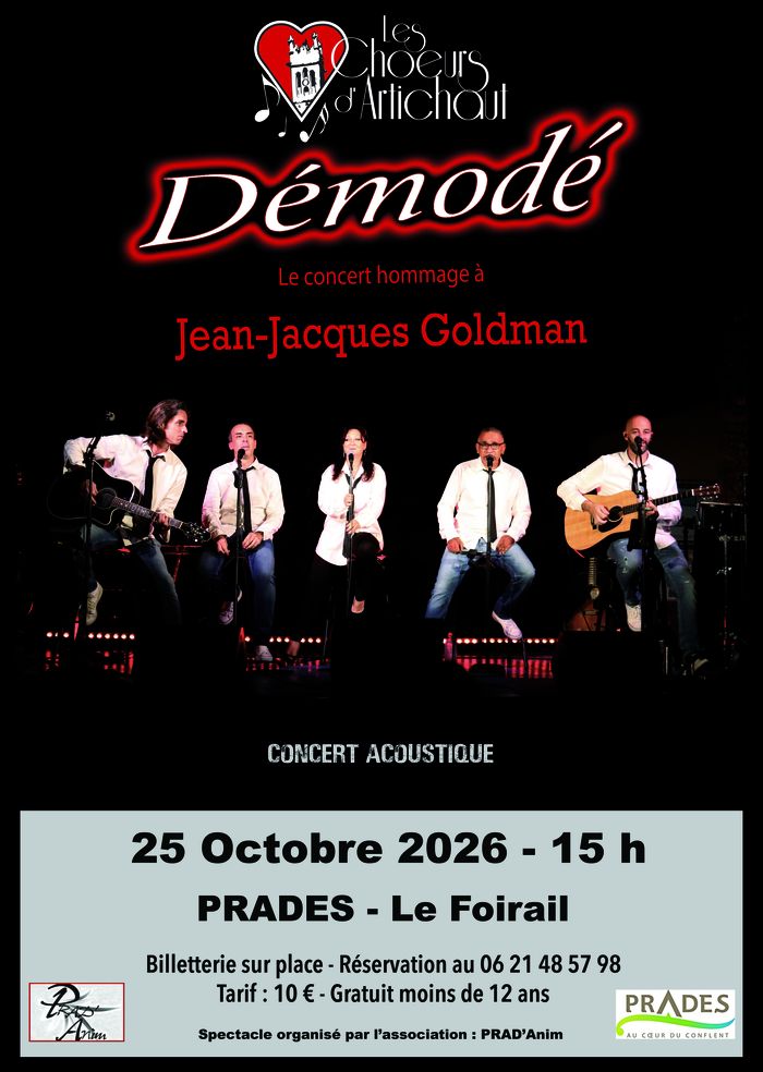 Concert hommage à Jean-Jacques Goldman « Démodé »