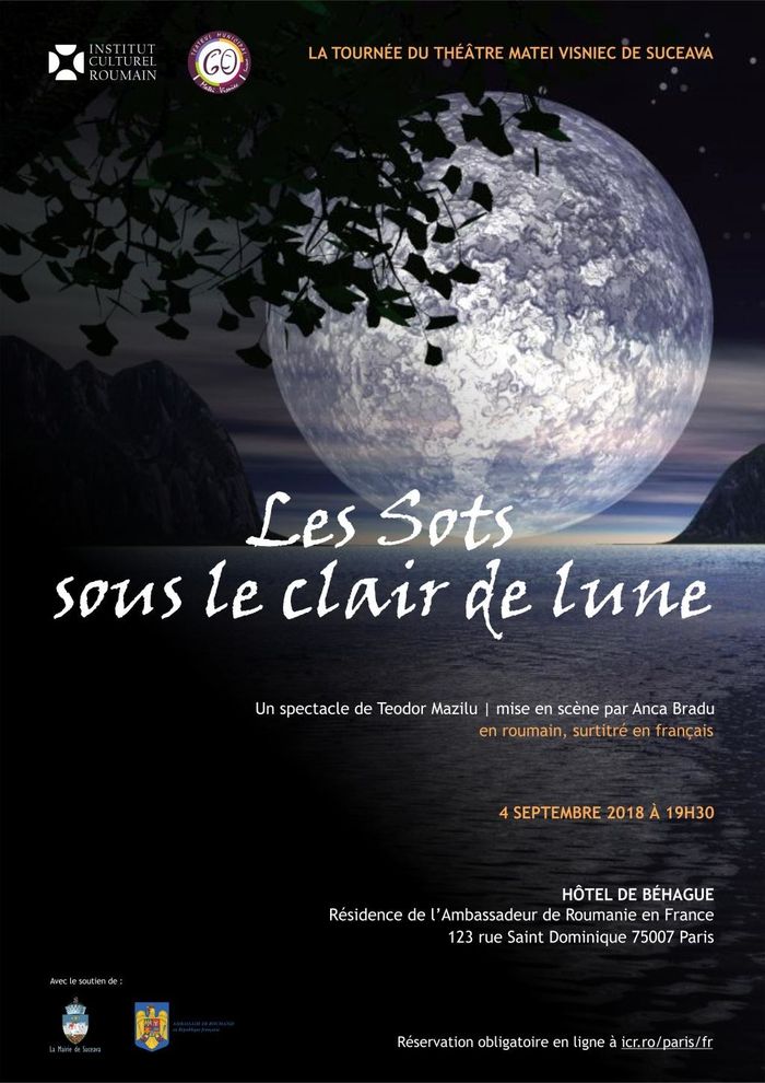 Afin de célébrer la Journée de la Langue Roumaine (31 août), l’Institut Culturel Roumain de Paris présente, en partenariat avec le Théâtre Matei Visniec, la tournée en France de ce théâtre très jeune.