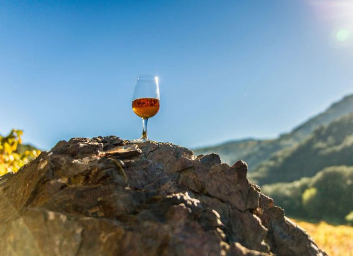 Apéritifs vignerons - Mon Club de Vin
