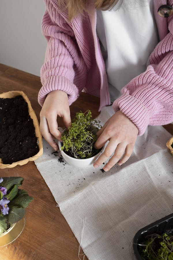 Enfilez vos bottes et ramenez votre plante ! Objectif rempotage !