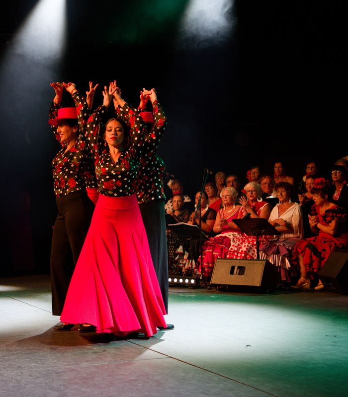 Repas spectacle flamenco de la Peña Pellizco et de l'association Coup d'Pouce