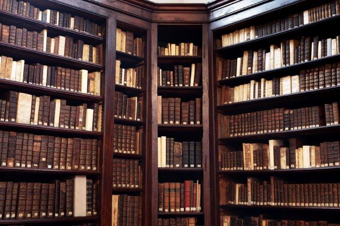 Venez (re)découvrir notre magnifique Bibliothèque patrimoniale du 18e siècle, riche de quelque 8000 volumes.