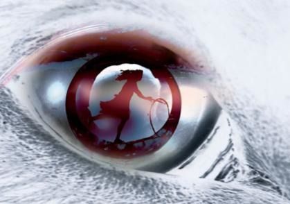 Projections des films serbes dans le cadre du festival