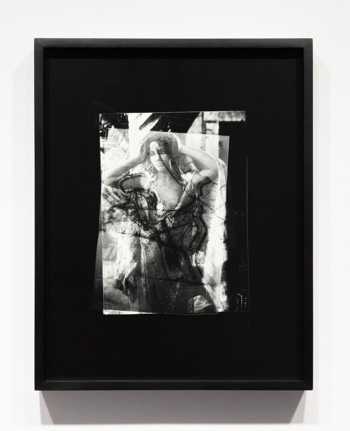 Le Centre culturel canadien propose une sélection de conférences autour de son exposition actuelle "Promiscuités" de l'artiste canadienne Shannon Bool