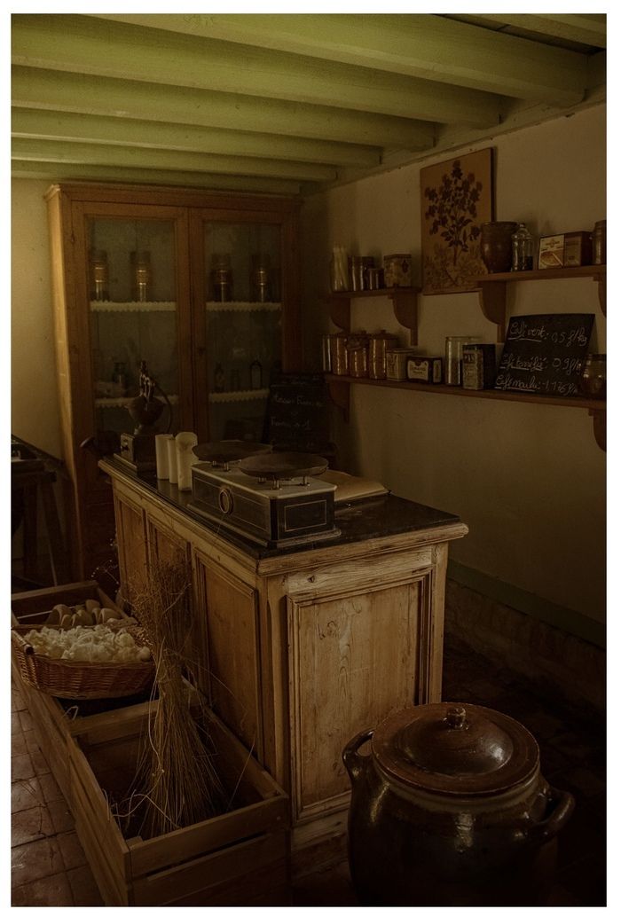 Le rôle de la médecine au 19ème siècle