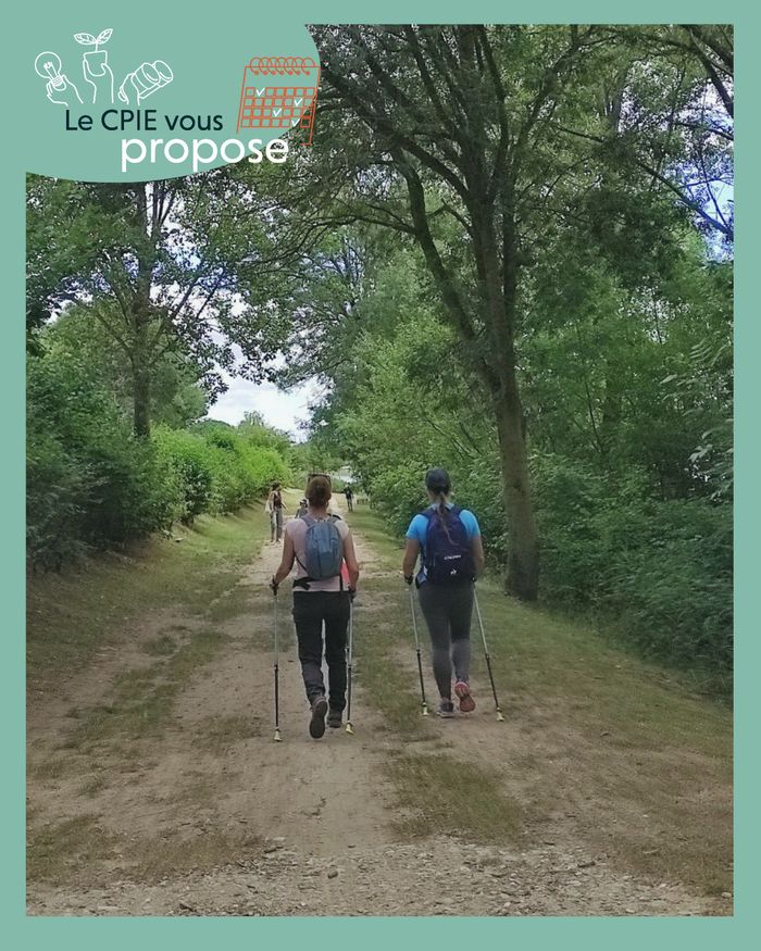 Initiez-vous à la marche nordique (avec bâtons) et découvrir comment les espèces de la forêt de l'Aiguille s'adaptent au changement climatique !