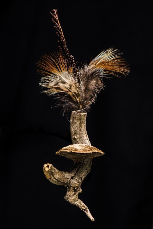 L'artiste québécoise Sandra Veillette présente ses "Aimants de la nature" à la galerie Orenda