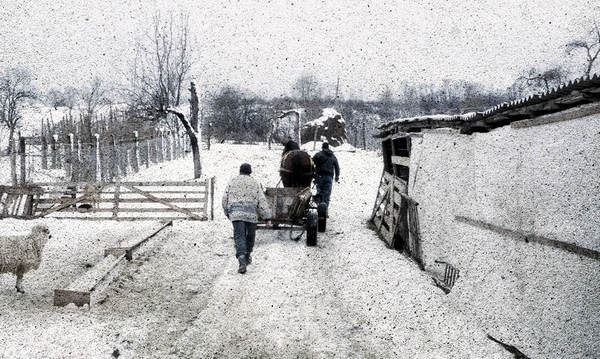 Dans le cadre du Mois du film documentaire
