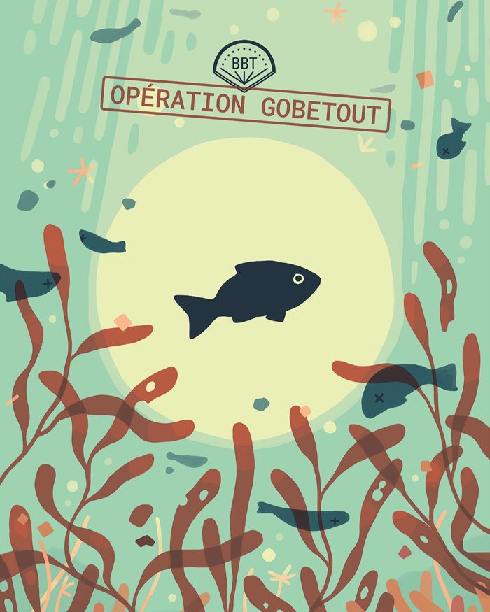 Nourrisage commenté du bassin des raies