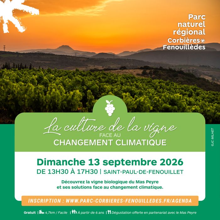 Partez à la découverte de la vigne biologique du Mas Peyre, du métier de vigeron.ne, des impacts du changement climatique sur cette culture et des solutions mises en œuvre pour s'y adapter.