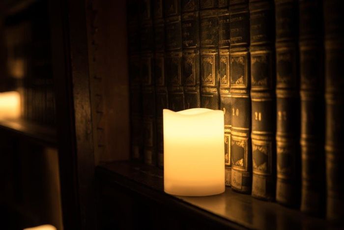Dans l’atmosphère tamisée de la Bibliothèque patrimoniale, Marc Roger nous lira la version française du roman L’intouchable de John Banville.