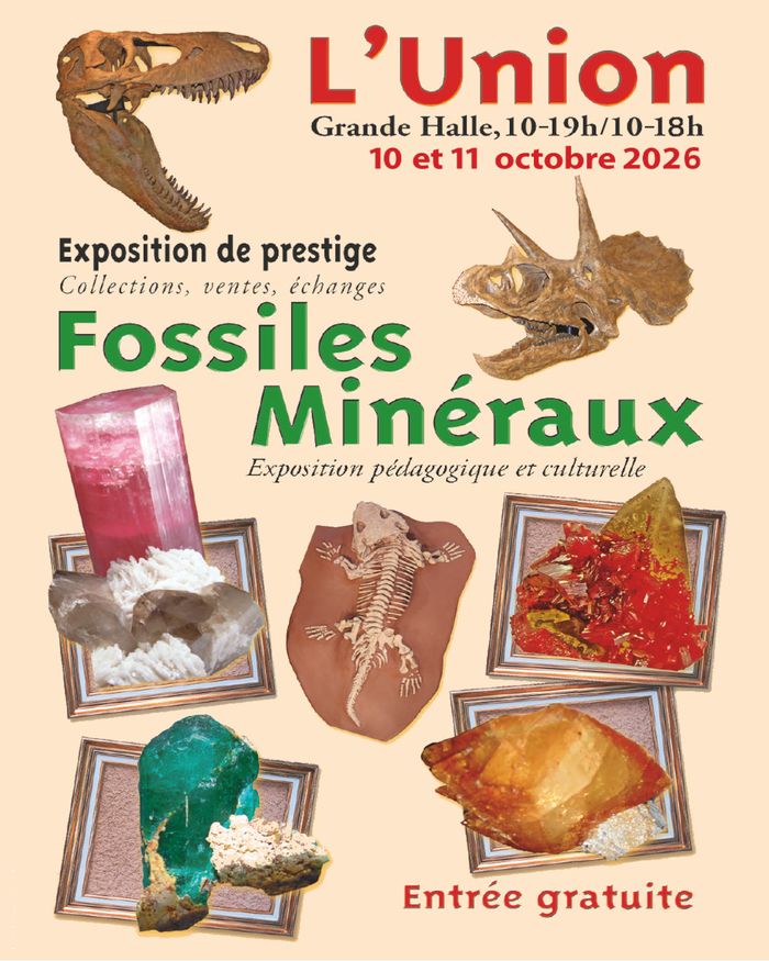 24e salon Minéraux et Fossiles de L'Union (31)