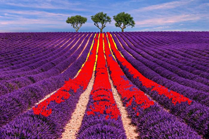 Du 9 au 12 octobre 2019, découvrez les relations intellectuelles, culturelles et linguistiques entre les Pays catalans et la Provence tout au long de leur histoire.