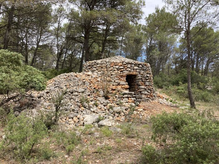 Balade rêveuse et pastorale sur le Mont d'Estagel