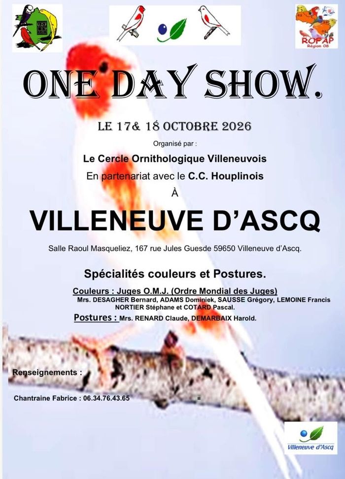 Dimanche 18 octobre de 9 h 30 à 12 h 30, le Cercle ornithologique villeneuvois organise une exposition et une bourse aux oiseaux à la salle Masqueliez.