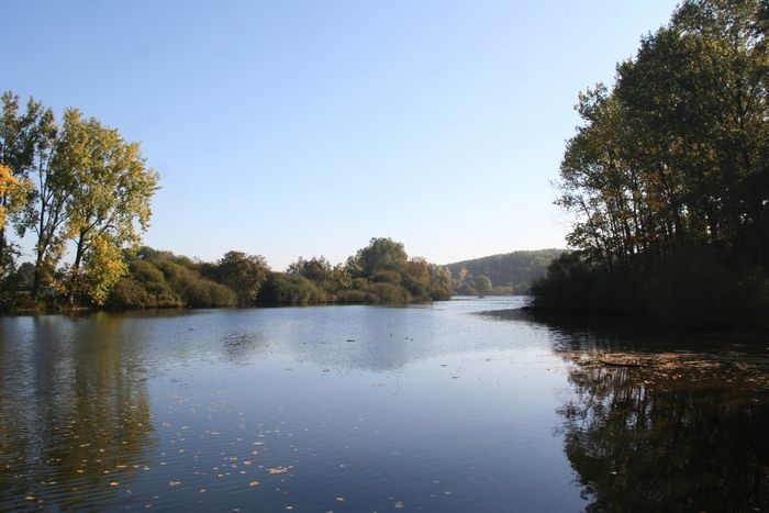 Un spectacle poétique autour de l'eau suivi d'un atelier d'initiation aux gestes artistiques avec la Compagnie Myriam Dooge