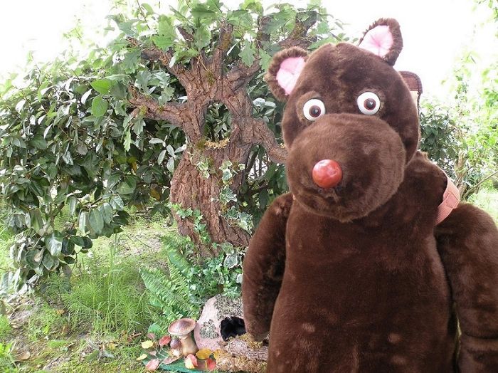 En décembre, Petit Ours t'entraîne dans 4 environnements naturels : forêt, savane, jungle et banquise en compagnie du Père Noël !
