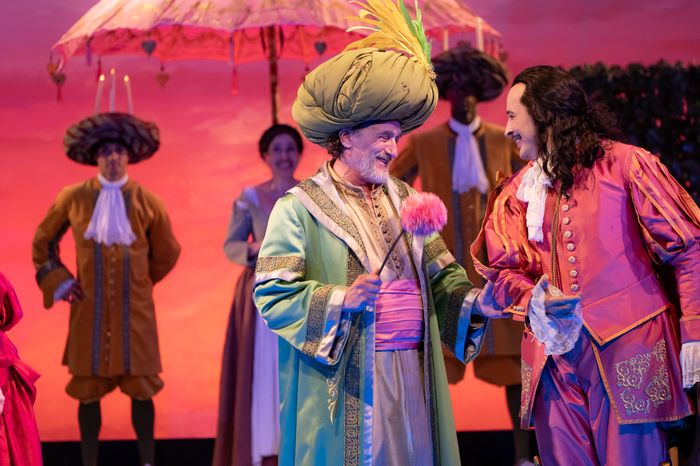 théâtre - comédie ballet en 5 actes