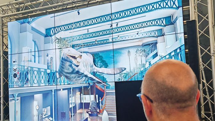 Laissez-vous guider à travers une visite virtuelle du Musée d’histoire naturelle projetée sur un écran géant.
