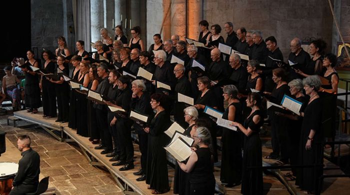 Les 20 ans du cœurs symphonique de Montpellier