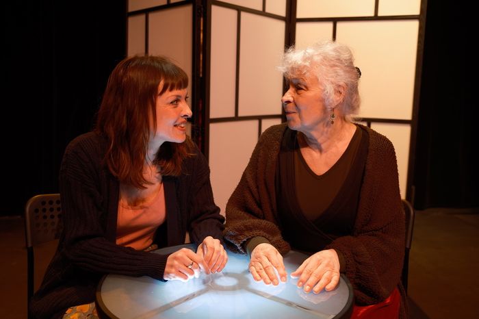 Dans le huis clos de ces rencontres répétées, une histoire commune émerge où se mêlent le théâtre, le Siam et un événement traumatique qui les lie.