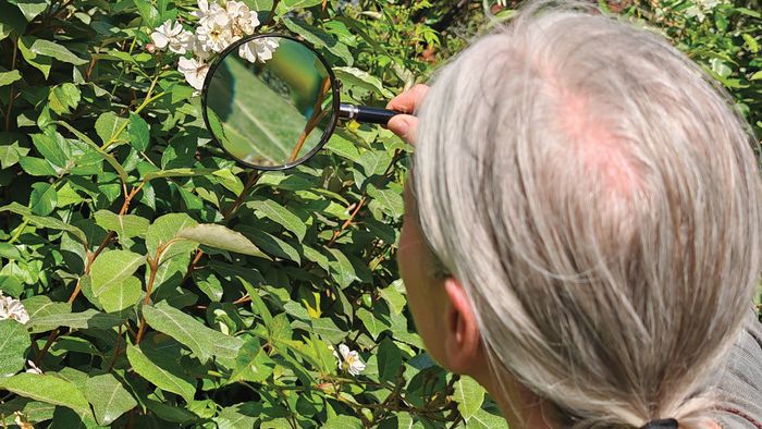 Atelier en continu dans le jardin de la Pouponnière