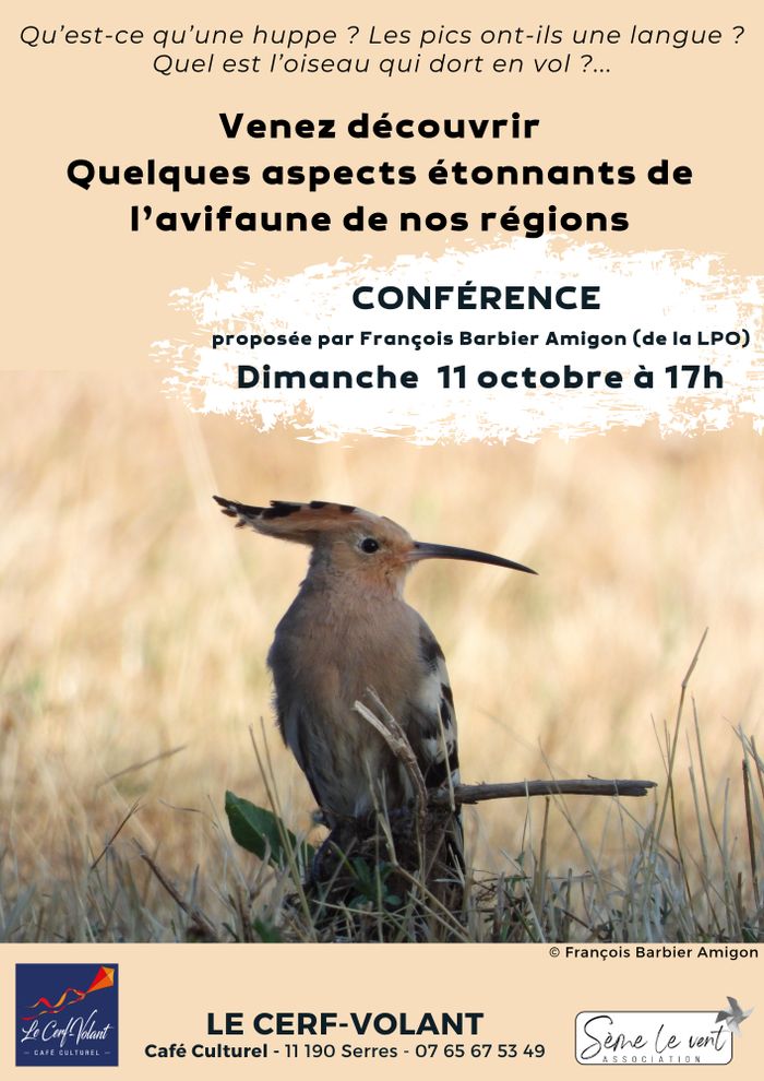 Découvrir quelques aspects étonnants de l'avifaune de nos régions